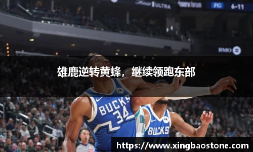 南宫NG·28