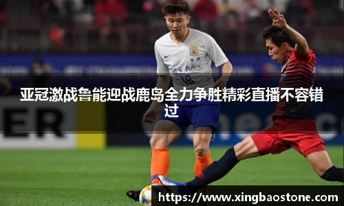 南宫NG·28体育
